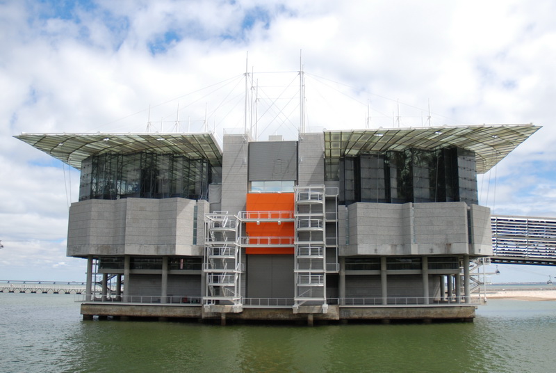 Отпуск. День 18. Oceanario de Lisboa.